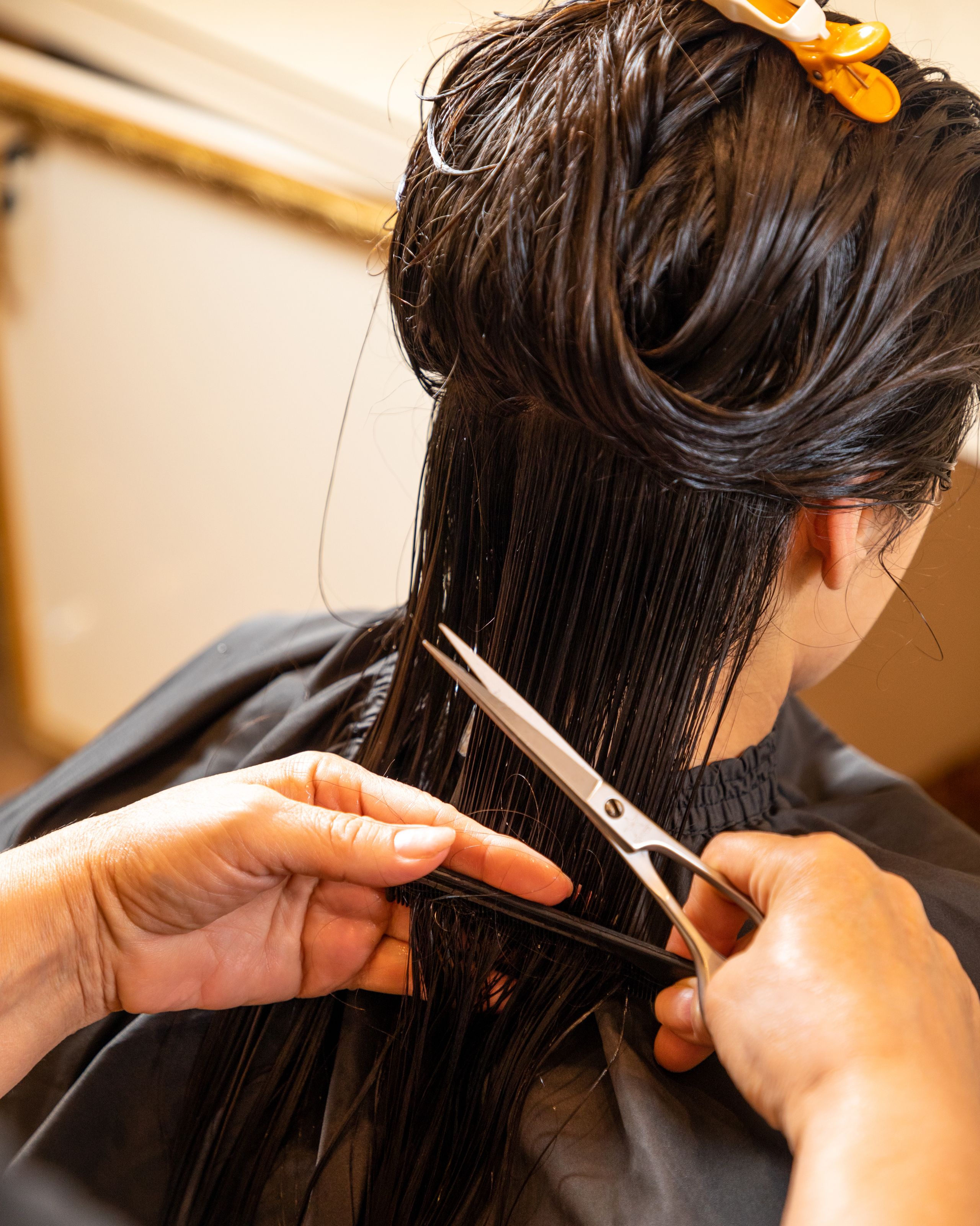 Cuts & Styling